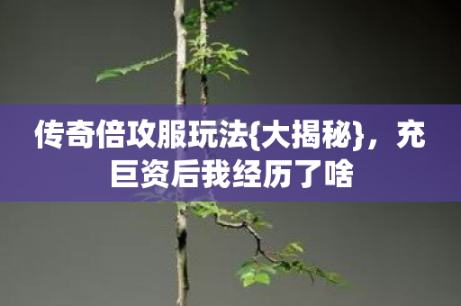 传奇倍攻服玩法{大揭秘}，充巨资后我经历了啥
