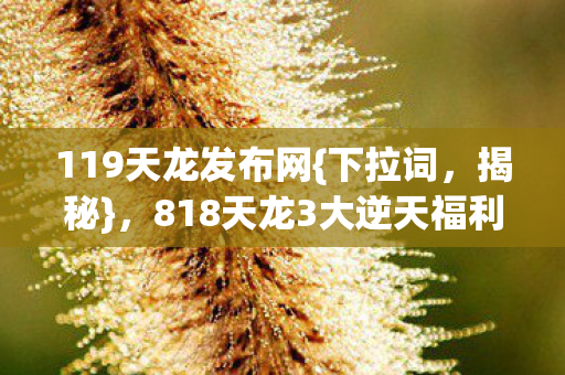 119天龙发布网{下拉词,揭秘},818天龙3大逆天福利速览 119天龙发布网{下拉词,揭秘},818天龙3大逆天福利速览
