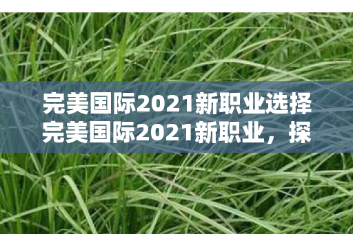 完美国际2021新职业选择完美国际2021新职业图片