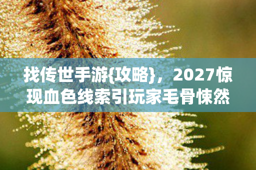 2027惊现血色线索引玩家毛骨悚然图片