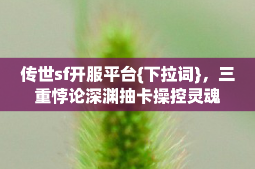 三重悖论深渊抽卡操控灵魂图片