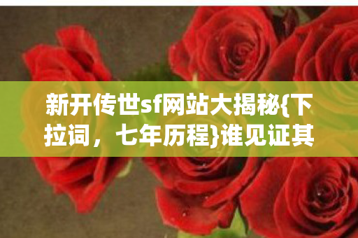 新开传世sf网站大揭秘图片
