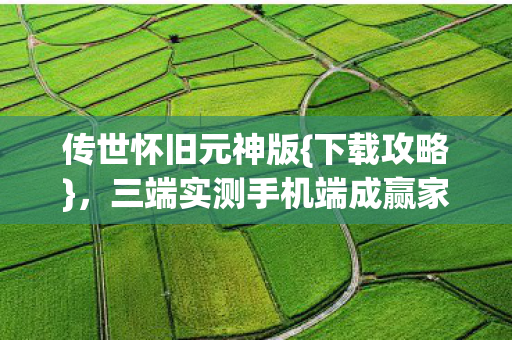 三端实测手机端成赢家图片