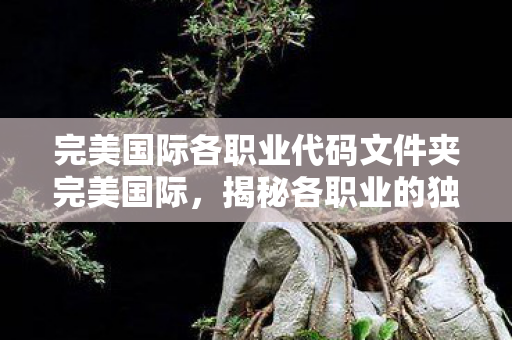 揭秘完美国际各职业独特魅力与策略运用图片
