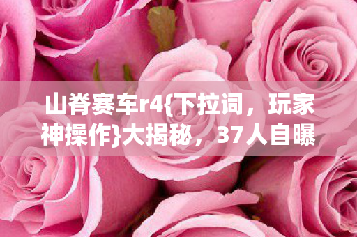 山脊赛车r4{下拉词，玩家神操作}大揭秘，37人自曝离谱瞬间！