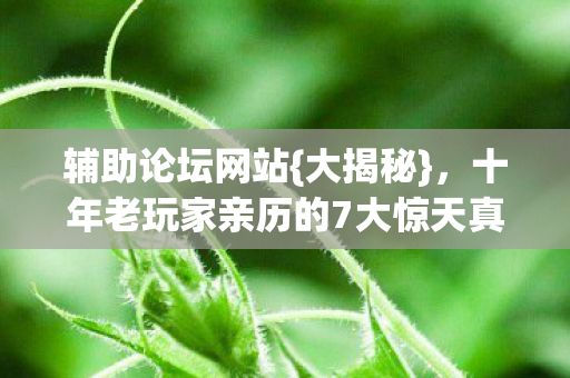 辅助论坛网站{大揭秘},十年老玩家亲历的7大惊天真相 辅助论坛网站{大揭秘},十年老玩家亲历的7大惊天真相
