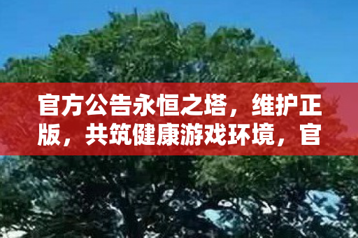 官方公告永恒之塔图片
