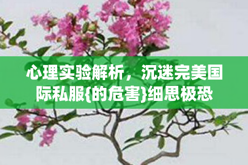 心理实验解析,沉迷完美国际私服{的危害}细思极恐 心理实验解析,沉迷完美国际私服{的危害}细思极恐