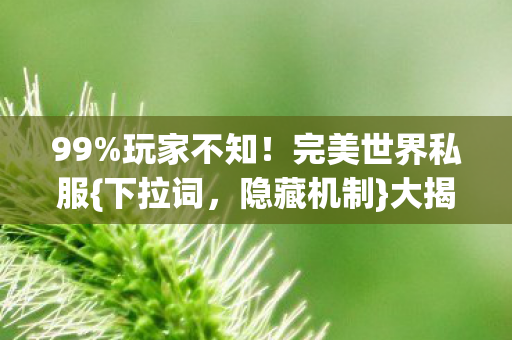99%玩家不知!完美世界私服{下拉词,隐藏机制}大揭秘! 99%玩家不知!完美世界私服{下拉词,隐藏机制}大揭秘!