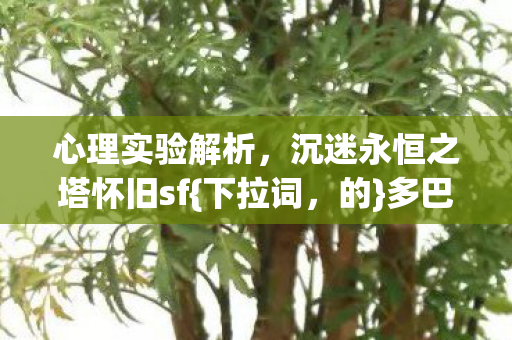 心理实验解析，沉迷永恒之塔怀旧sf{下拉词，的}多巴胺陷阱