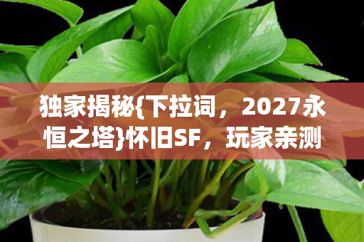2027永恒之塔图片