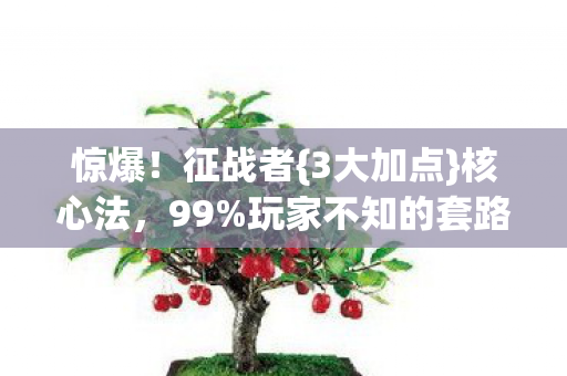 惊爆!征战者{3大加点}核心法,99%玩家不知的套路 惊爆!征战者{3大加点}核心法,99%玩家不知的套路