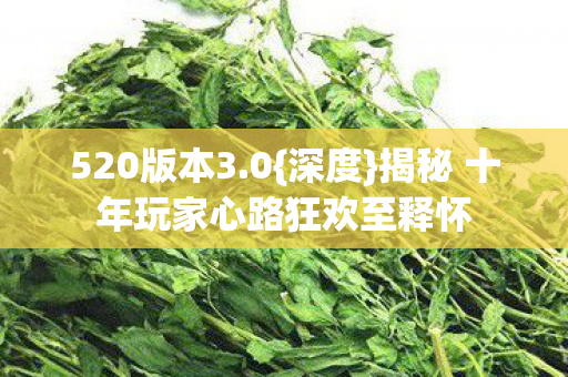 520版本3.0{深度}揭秘 十年玩家心路狂欢至释怀 520版本3.0{深度}揭秘 十年玩家心路狂欢至释怀
