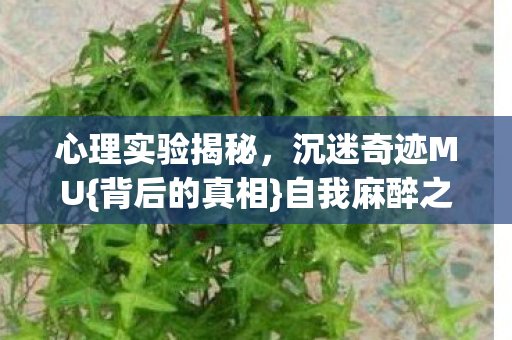 心理实验揭秘，沉迷奇迹MU{背后的真相}自我麻醉之旅