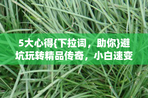 5大心得{下拉词,助你}避坑玩转精品传奇,小白速变资深玩家 5大心得{下拉词,助你}避坑玩转精品传奇,小白速变资深玩家
