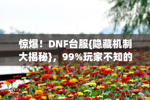 惊爆!DNF台服{隐藏机制大揭秘},99%玩家不知的逆天改命法 惊爆!DNF台服{隐藏机制大揭秘},99%玩家不知的逆天改命法