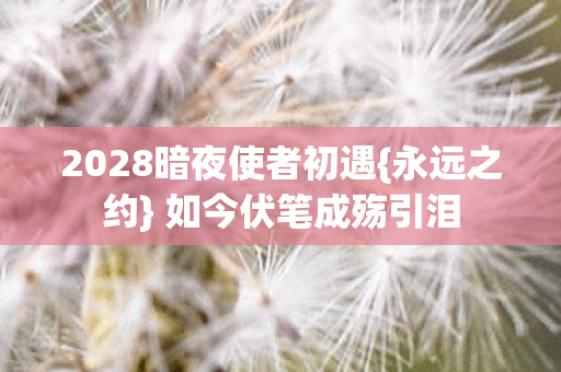 2028暗夜使者初遇{永远之约} 如今伏笔成殇引泪 2028暗夜使者初遇{永远之约} 如今伏笔成殇引泪