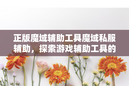 正版魔域辅助工具魔域私服辅助图片