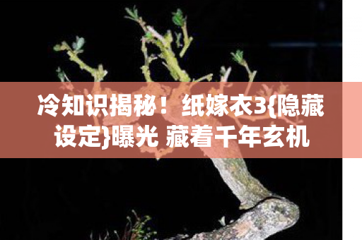 冷知识揭秘!纸嫁衣3{隐藏设定}曝光 藏着千年玄机 冷知识揭秘!纸嫁衣3{隐藏设定}曝光 藏着千年玄机