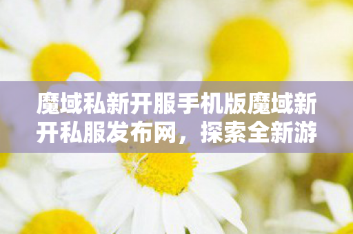 魔域私新开服手机版魔域新开私服发布网图片