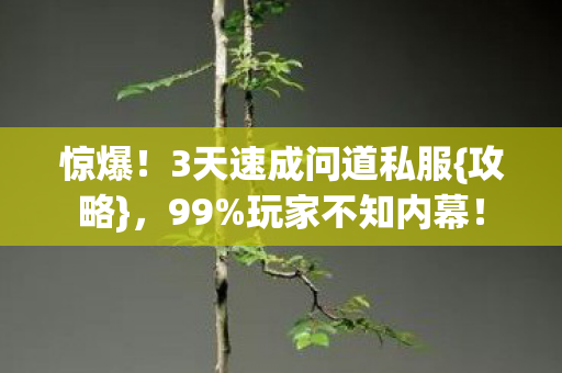 惊爆!3天速成问道私服{攻略},99%玩家不知内幕! 惊爆!3天速成问道私服{攻略},99%玩家不知内幕!