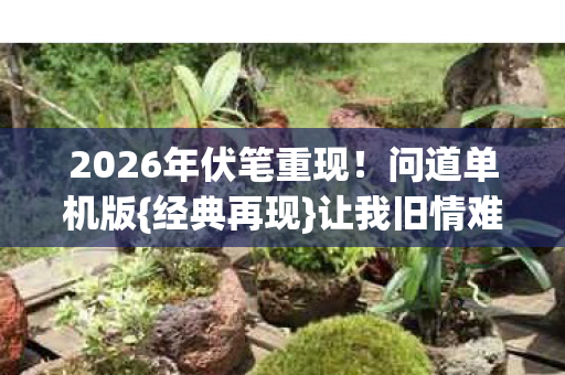 2026年伏笔重现!问道单机版{经典再现}让我旧情难断 2026年伏笔重现!问道单机版{经典再现}让我旧情难断