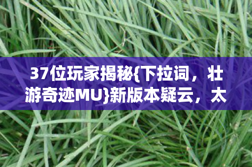 37位玩家揭秘{下拉词,壮游奇迹MU}新版本疑云,太惊人! 37位玩家揭秘{下拉词,壮游奇迹MU}新版本疑云,太惊人!