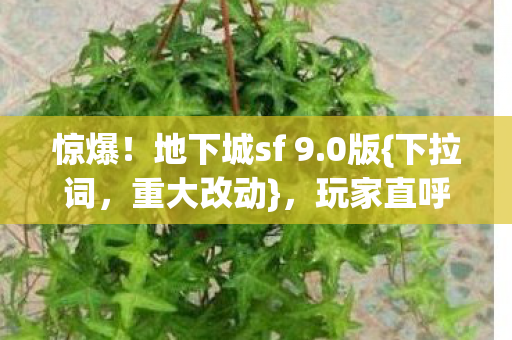 惊爆!地下城sf 9.0版{下拉词,重大改动},玩家直呼离谱! 惊爆!地下城sf 9.0版{下拉词,重大改动},玩家直呼离谱!
