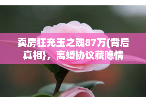 卖房狂充玉之魂87万图片