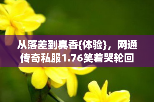 从落差到真香{体验},网通传奇私服1.76笑着哭轮回 从落差到真香{体验},网通传奇私服1.76笑着哭轮回