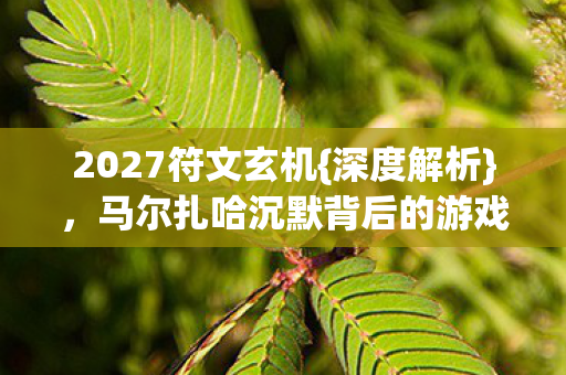 2027符文玄机{深度解析}，马尔扎哈沉默背后的游戏启示