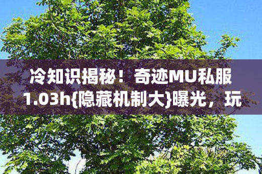 奇迹MU私服1图片