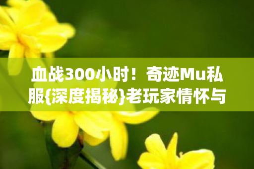 老玩家情怀与数据陷阱图片