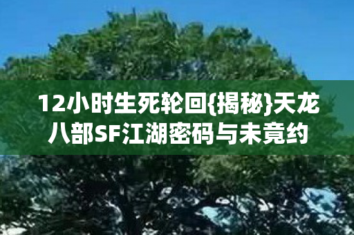 12小时生死轮回{揭秘}天龙八部SF江湖密码与未竟约 12小时生死轮回{揭秘}天龙八部SF江湖密码与未竟约
