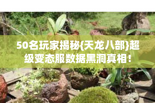 50名玩家揭秘{天龙八部}超级变态服数据黑洞真相！