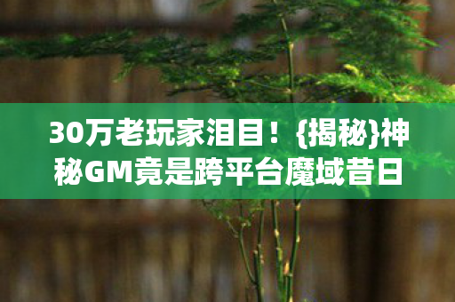 神秘GM竟是跨平台魔域昔日战友图片