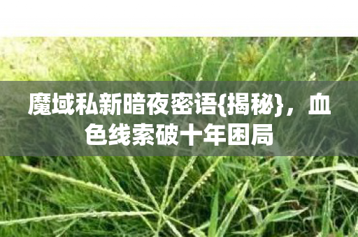 血色线索破十年困局图片