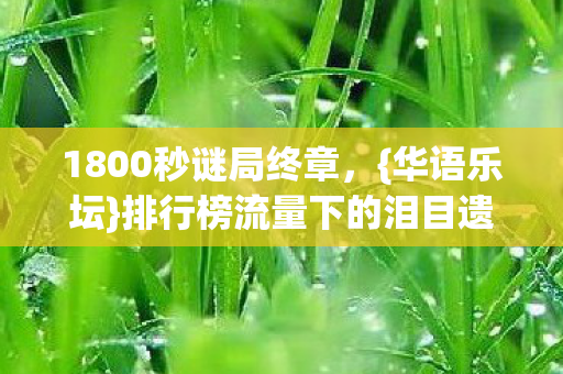 1800秒谜局终章,{华语乐坛}排行榜流量下的泪目遗孤 1800秒谜局终章,{华语乐坛}排行榜流量下的泪目遗孤
