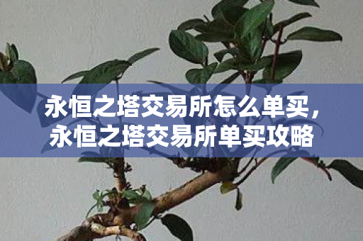 永恒之塔交易所怎么单买图片