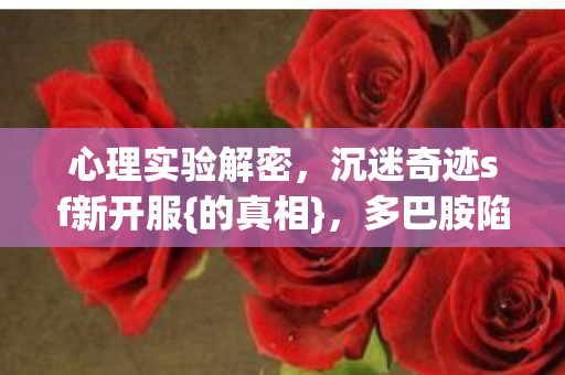 沉迷奇迹sf新开服图片