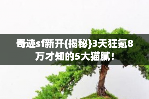 3天狂氪8万才知的5大猫腻图片