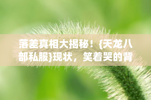 落差真相大揭秘！{天龙八部私服}现状，笑着哭的背后