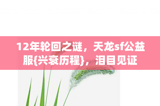 12年轮回之谜，天龙sf公益服{兴衰历程}，泪目见证