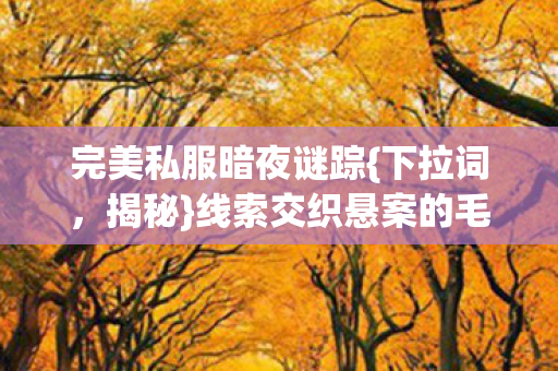 完美私服暗夜谜踪{下拉词,揭秘}线索交织悬案的毛骨悚然终局 完美私服暗夜谜踪{下拉词,揭秘}线索交织悬案的毛骨悚然终局