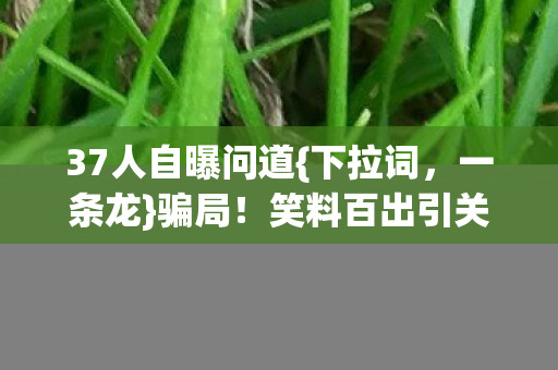 37人自曝问道{下拉词,一条龙}骗局!笑料百出引关注 37人自曝问道{下拉词,一条龙}骗局!笑料百出引关注