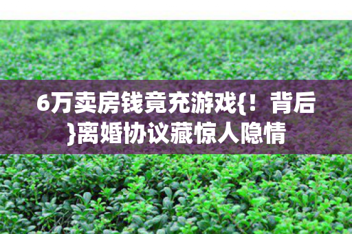 6万卖房钱竟充游戏{！背后}离婚协议藏惊人隐情
