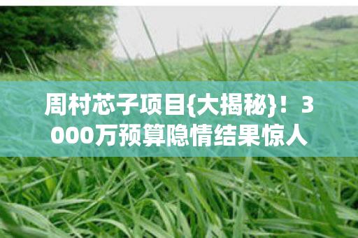周村芯子项目{大揭秘}！3000万预算隐情结果惊人