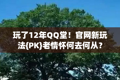 玩了12年QQ堂图片