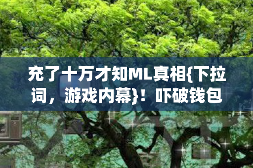 充了十万才知ML真相图片