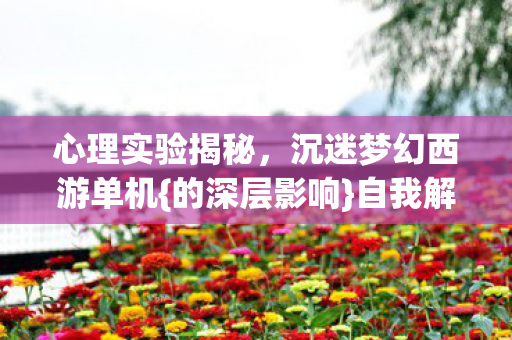 沉迷梦幻西游单机图片